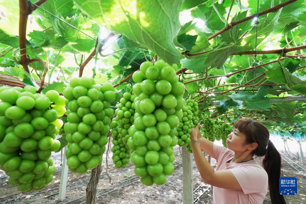 美高梅手机版游戏